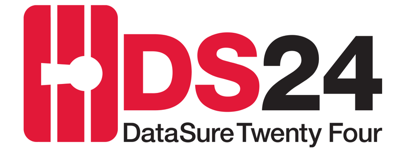 Datasure24 logo